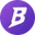 nBASIS logo