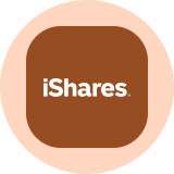 iShares Silver Trust (Ondo Tokenized) logo